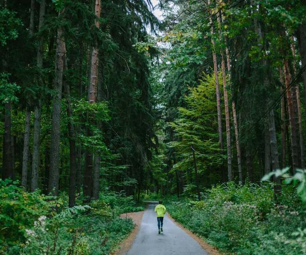 Architect uitous delivery