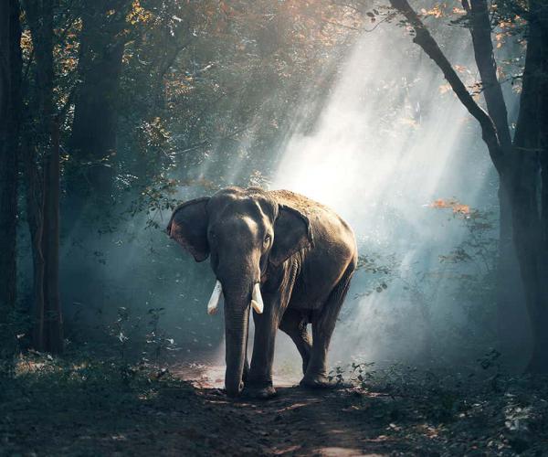 Visually impact mind