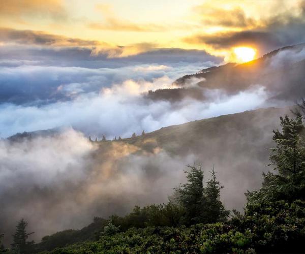 Your Morning Briefing